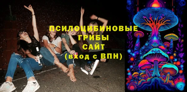 мяу мяу мука Белокуриха