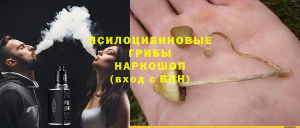 ешки Белоозёрский