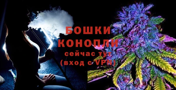 мяу мяу мука Белокуриха