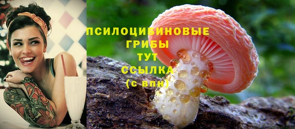 мяу мяу мука Белокуриха