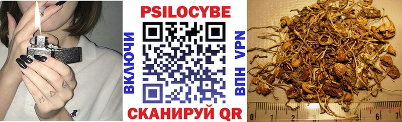 Галлюциногенные грибы Psilocybine cubensis  Корсаков 